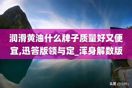 润滑黄油什么牌子质量好又便宜,迅答版领与定_浑身解数版