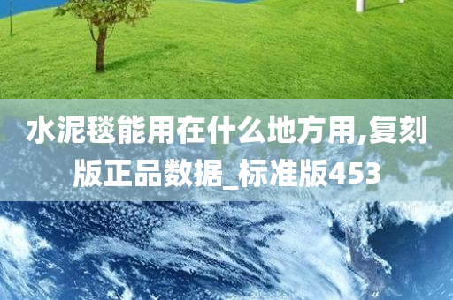 水泥毯能用在什么地方用,复刻版正品数据_标准版453