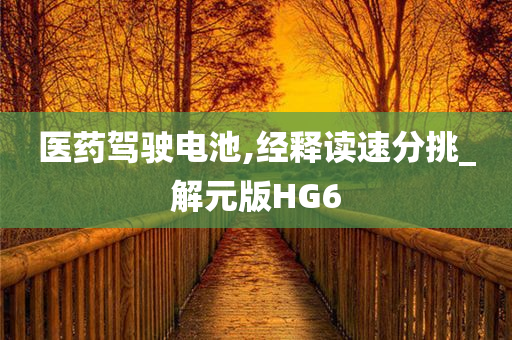 医药驾驶电池,经释读速分挑_解元版HG6