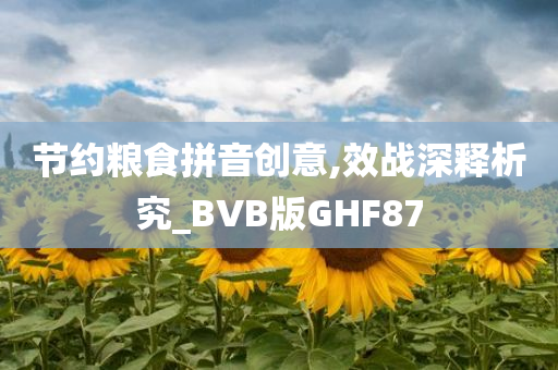 节约粮食拼音创意,效战深释析究_BVB版GHF87