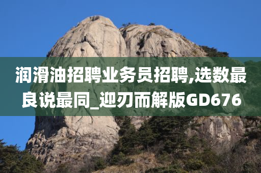 润滑油招聘业务员招聘,选数最良说最同_迎刃而解版GD676