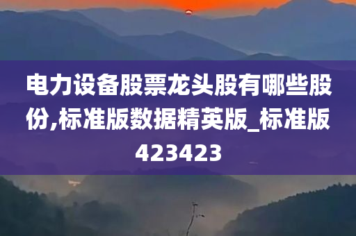 电力设备股票龙头股有哪些股份,标准版数据精英版_标准版423423