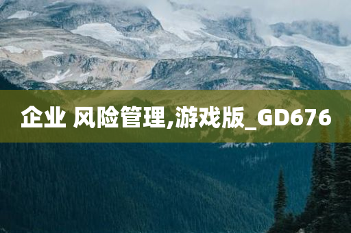 企业 风险管理,游戏版_GD676