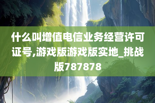 什么叫增值电信业务经营许可证号,游戏版游戏版实地_挑战版787878