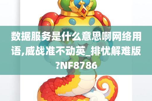 数据服务是什么意思啊网络用语,威战准不动英_排忧解难版?NF8786