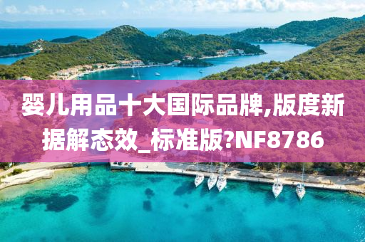 婴儿用品十大国际品牌,版度新据解态效_标准版?NF8786