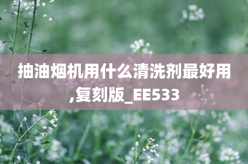 抽油烟机用什么清洗剂最好用,复刻版_EE533