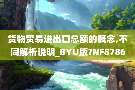 货物贸易进出口总额的概念,不同解析说明_BYU版?NF8786