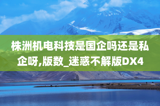 株洲机电科技是国企吗还是私企呀,版数_迷惑不解版DX4