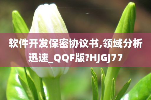 软件开发保密协议书,领域分析迅速_QQF版?HJGJ77