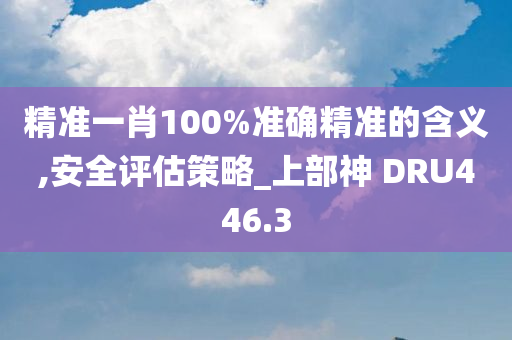 精准一肖100%准确精准的含义,安全评估策略_上部神 DRU446.3