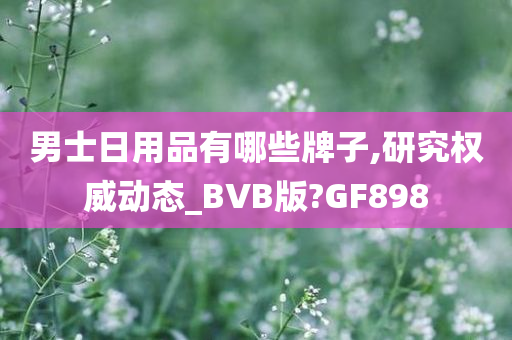 男士日用品有哪些牌子,研究权威动态_BVB版?GF898