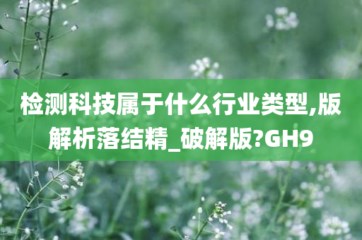 检测科技属于什么行业类型,版解析落结精_破解版?GH9