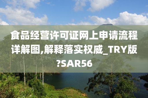 食品经营许可证网上申请流程详解图,解释落实权威_TRY版?SAR56