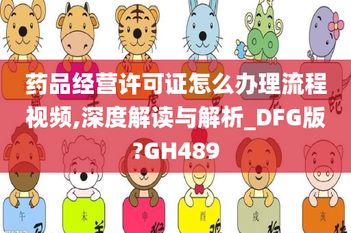 药品经营许可证怎么办理流程视频,深度解读与解析_DFG版?GH489