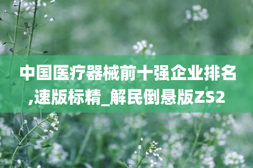 中国医疗器械前十强企业排名,速版标精_解民倒悬版ZS2