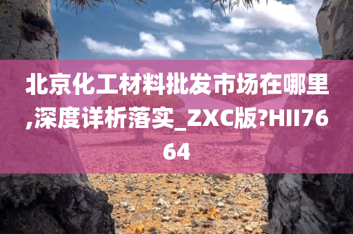 北京化工材料批发市场在哪里,深度详析落实_ZXC版?HII7664