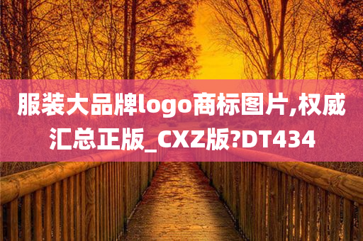 服装大品牌logo商标图片,权威汇总正版_CXZ版?DT434