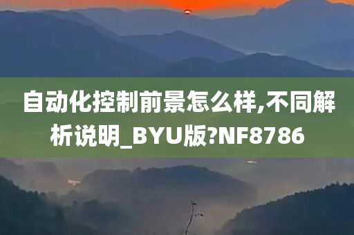 自动化控制前景怎么样,不同解析说明_BYU版?NF8786