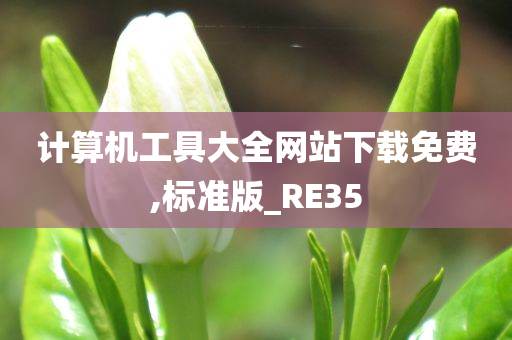 计算机工具大全网站下载免费,标准版_RE35