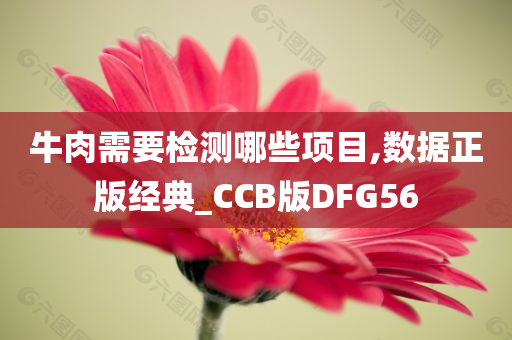 牛肉需要检测哪些项目,数据正版经典_CCB版DFG56