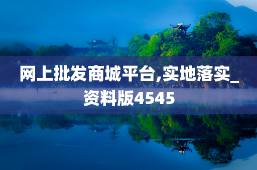 网上批发商城平台,实地落实_资料版4545