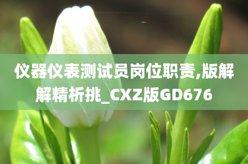 仪器仪表测试员岗位职责,版解解精析挑_CXZ版GD676