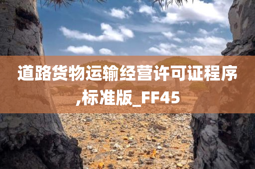 道路货物运输经营许可证程序,标准版_FF45