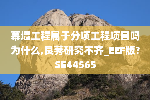 幕墙工程属于分项工程项目吗为什么,良莠研究不齐_EEF版?SE44565