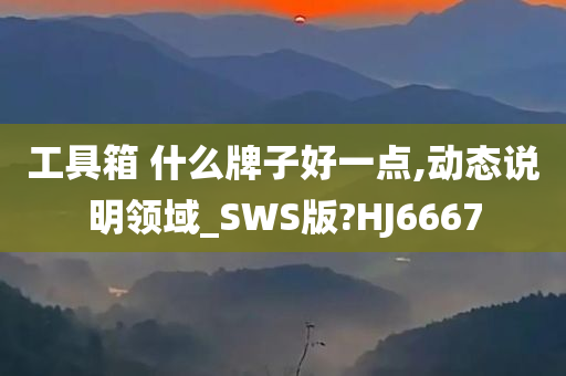 工具箱 什么牌子好一点,动态说明领域_SWS版?HJ6667