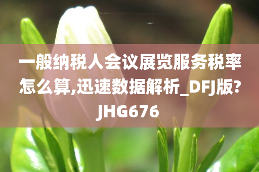 一般纳税人会议展览服务税率怎么算,迅速数据解析_DFJ版?JHG676