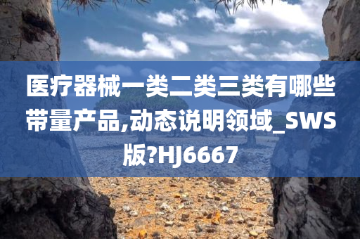 医疗器械一类二类三类有哪些带量产品,动态说明领域_SWS版?HJ6667