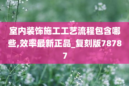 室内装饰施工工艺流程包含哪些,效率最新正品_复刻版78787