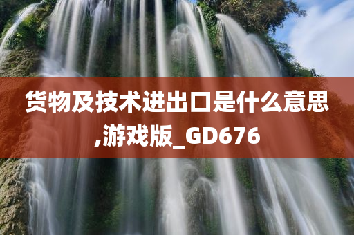 货物及技术进出口是什么意思,游戏版_GD676