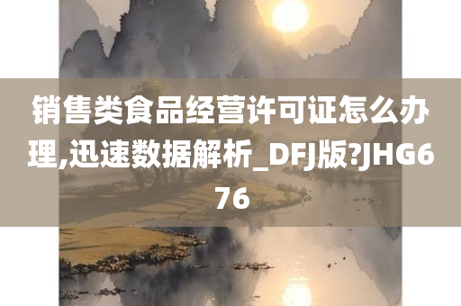 销售类食品经营许可证怎么办理,迅速数据解析_DFJ版?JHG676