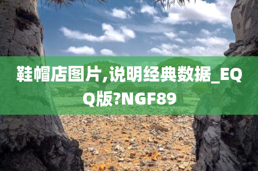 鞋帽店图片,说明经典数据_EQQ版?NGF89