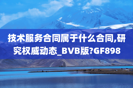 技术服务合同属于什么合同,研究权威动态_BVB版?GF898