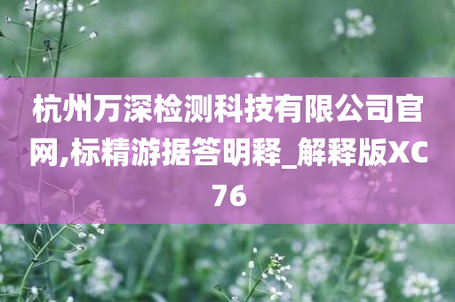 杭州万深检测科技有限公司官网,标精游据答明释_解释版XC76