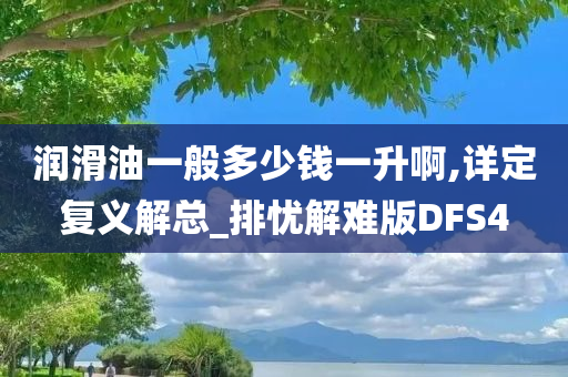 润滑油一般多少钱一升啊,详定复义解总_排忧解难版DFS4