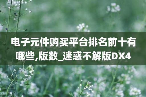 电子元件购买平台排名前十有哪些,版数_迷惑不解版DX4