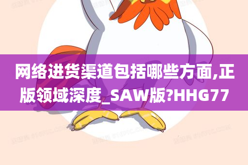 网络进货渠道包括哪些方面,正版领域深度_SAW版?HHG77