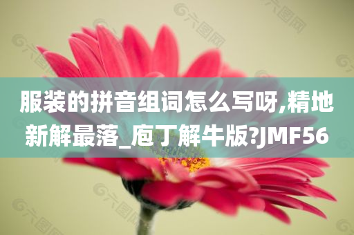 服装的拼音组词怎么写呀,精地新解最落_庖丁解牛版?JMF56