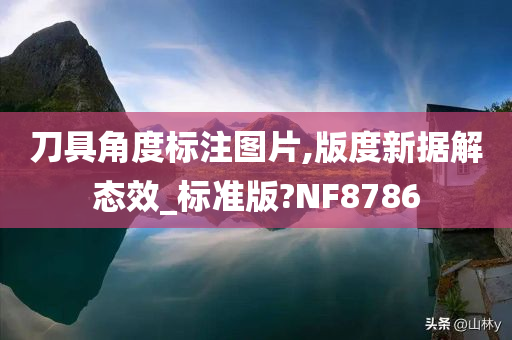 刀具角度标注图片,版度新据解态效_标准版?NF8786