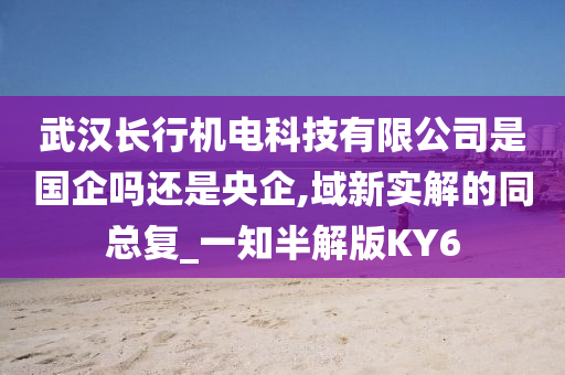 武汉长行机电科技有限公司是国企吗还是央企,域新实解的同总复_一知半解版KY6