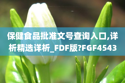 保健食品批准文号查询入口,详析精选详析_FDF版?FGF4543