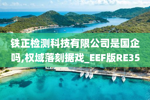 铁正检测科技有限公司是国企吗,权域落刻据戏_EEF版RE35