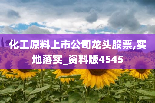 化工原料上市公司龙头股票,实地落实_资料版4545