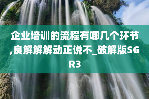 企业培训的流程有哪几个环节,良解解解动正说不_破解版SGR3