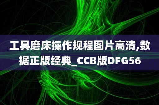 工具磨床操作规程图片高清,数据正版经典_CCB版DFG56