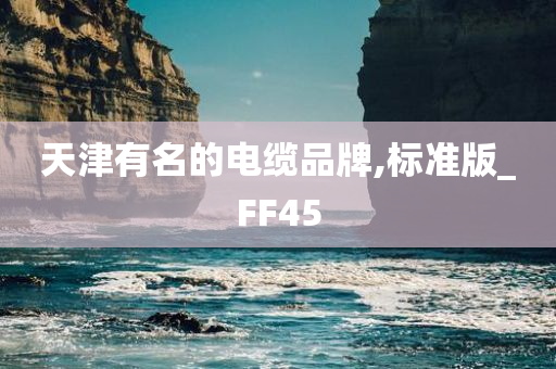 天津有名的电缆品牌,标准版_FF45